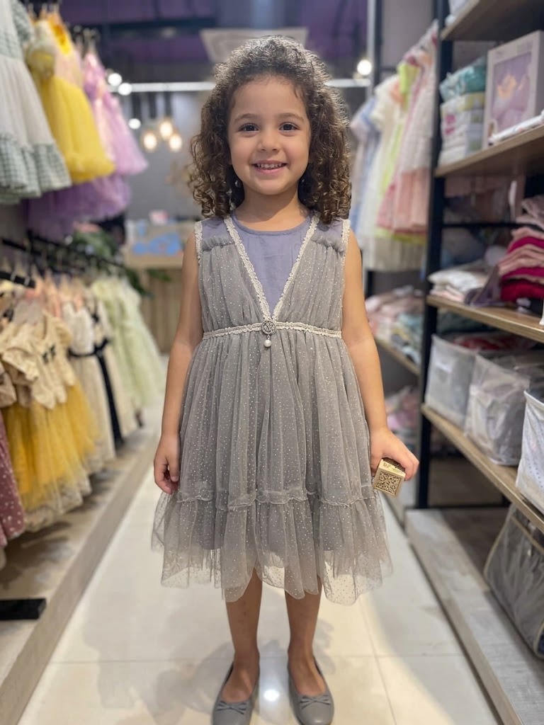 Baby Girl's Semi Party Frock- Ash (3-4Y)