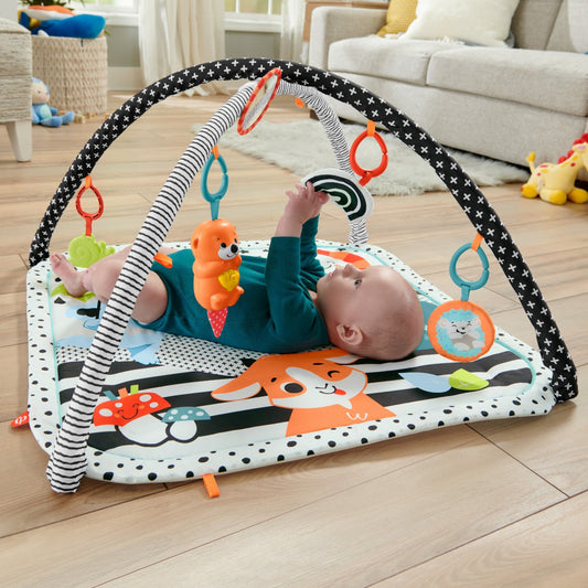 Fisher-Price HBP41 3-in-1 Music, Glow and Grow Gym