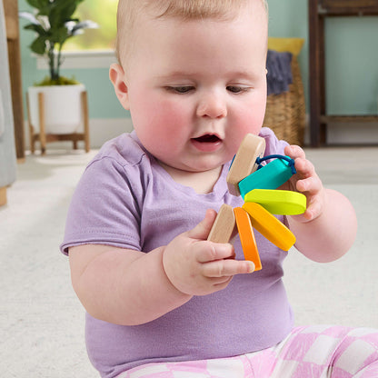 Fisher Price JCY39 Rainbow Car Rattle (6m+)