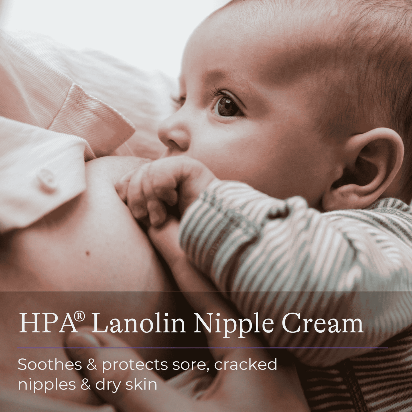 Lansinoh HPA Lanolin Nipple Cream 40ml