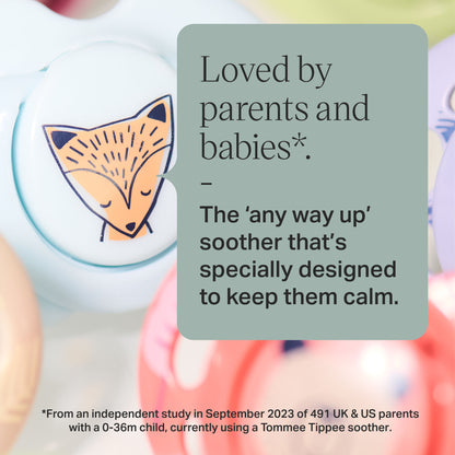 Tommee Tippee Fun Friends Soothers (0-6 Months)- 2Pcs