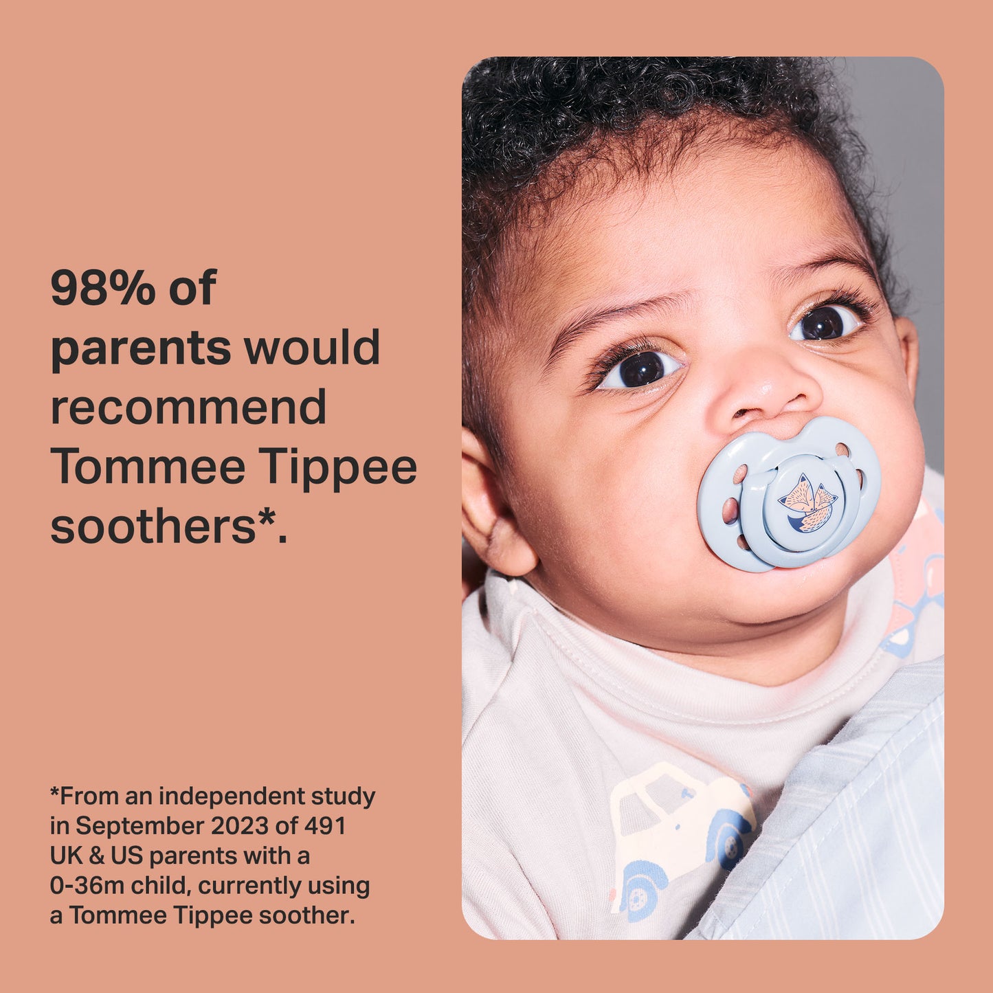 Tommee Tippee Fun Friends Soothers (0-6 Months)- 2Pcs